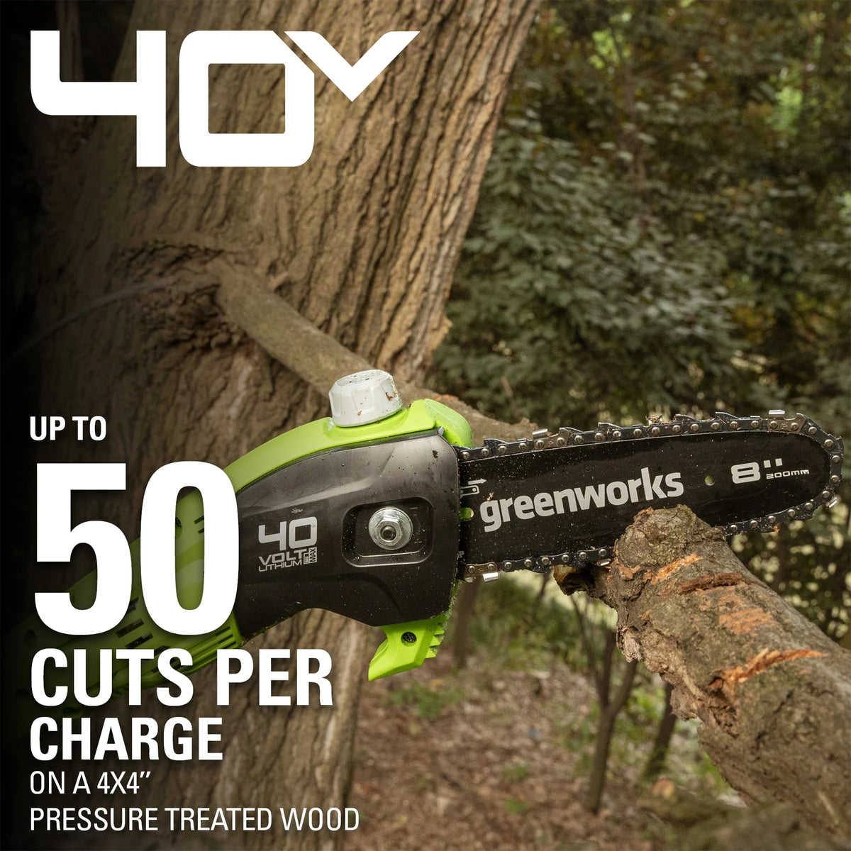 Greenworks 40V 8 Cordless Pole Saw with 2.0 Ah Battery and Charger， 1403702