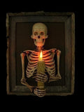 Framed Skeleton Torso Wall Display with Flashing Candle Bulb and Wooden Frame
