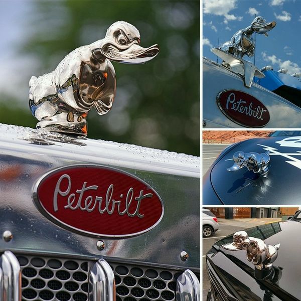 Duck Radiator Emblem with Chrome Plating and Pin Mounting, 6x4  Inches