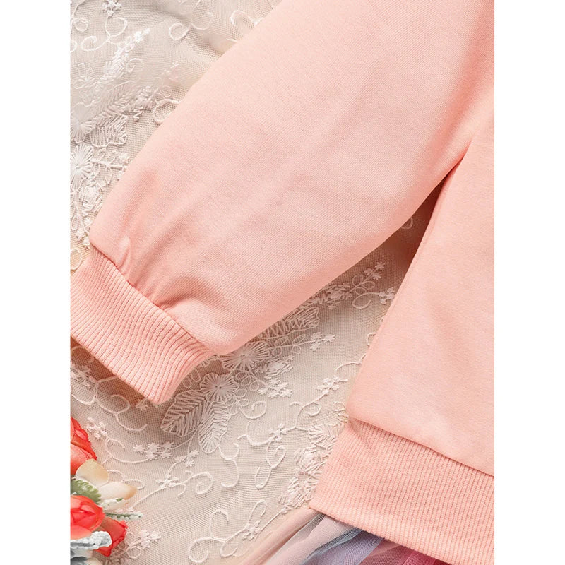 Baby Girls Rainbow Skirt Set Letters Embroidery Long Sleeve Sweatshirt Tops & Rainbow Tutu Skirt Outfits