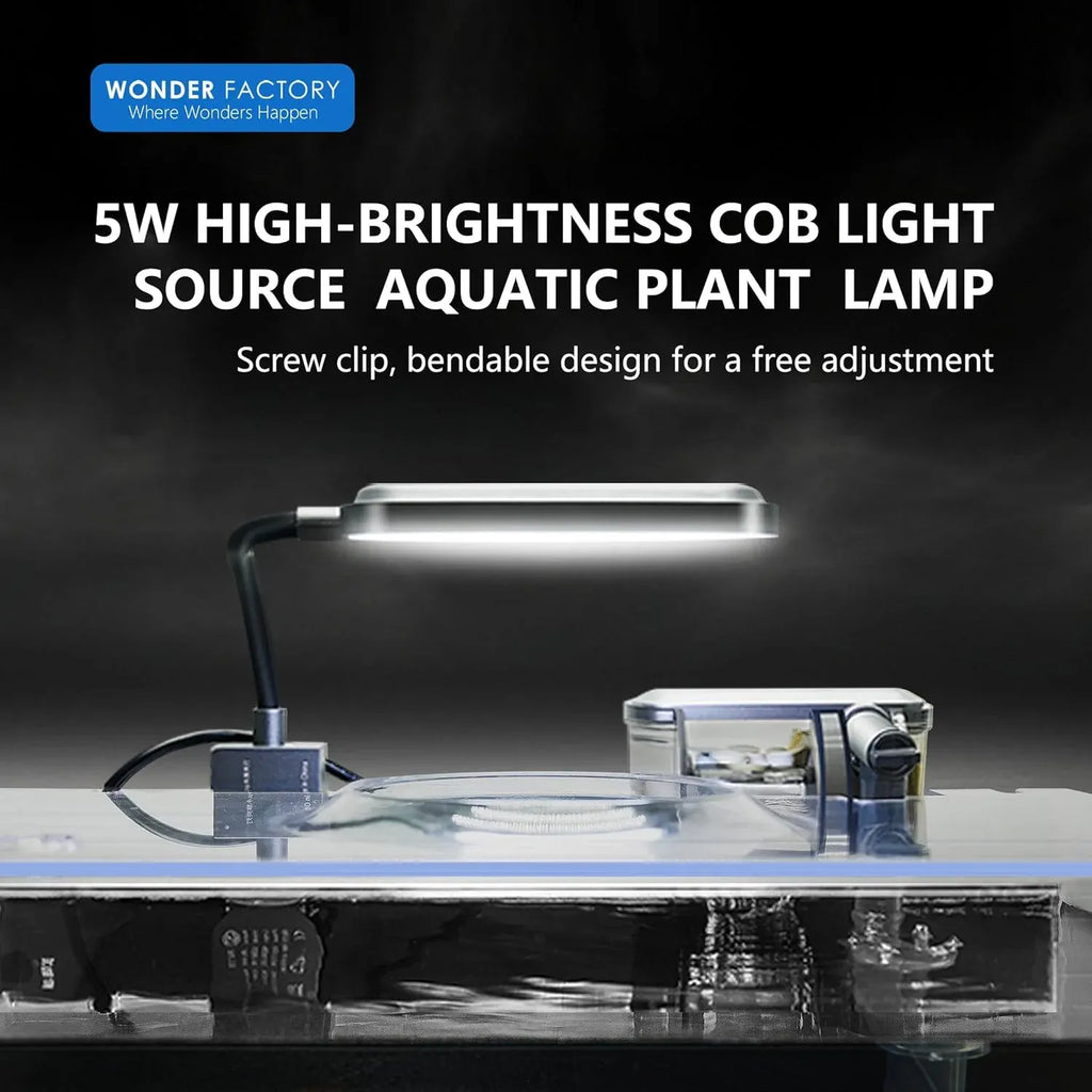 Small Aquarium Starter Kit, 2.6 Gallon Glass Betta Fish Tank with Heater Self Cleaning System Efficiency Filter Bright Light Rocks Gravel Cleaning Tool Set, Leak-Proof Ultra-Clear Rimless Desktop Tank