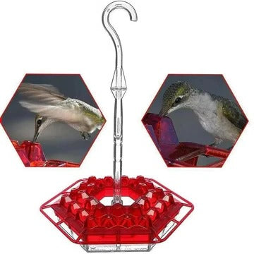 Ant-Resistant Feeder Design for Gardens, Patios, and Yard Spaces