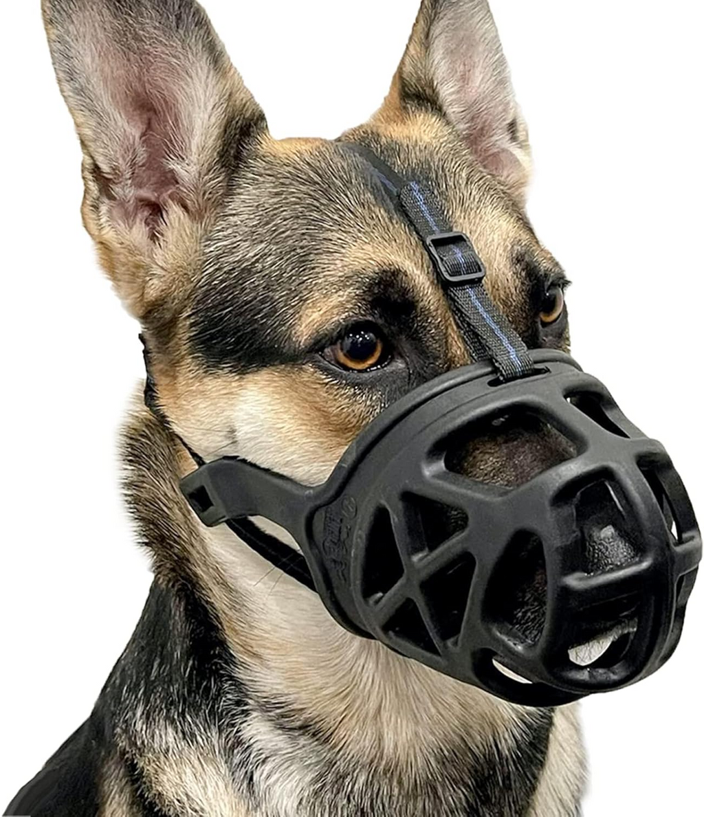 Basket Dog Muzzle for Reactive Dogs with Adjustable Straps and Sizing Chart, Medium