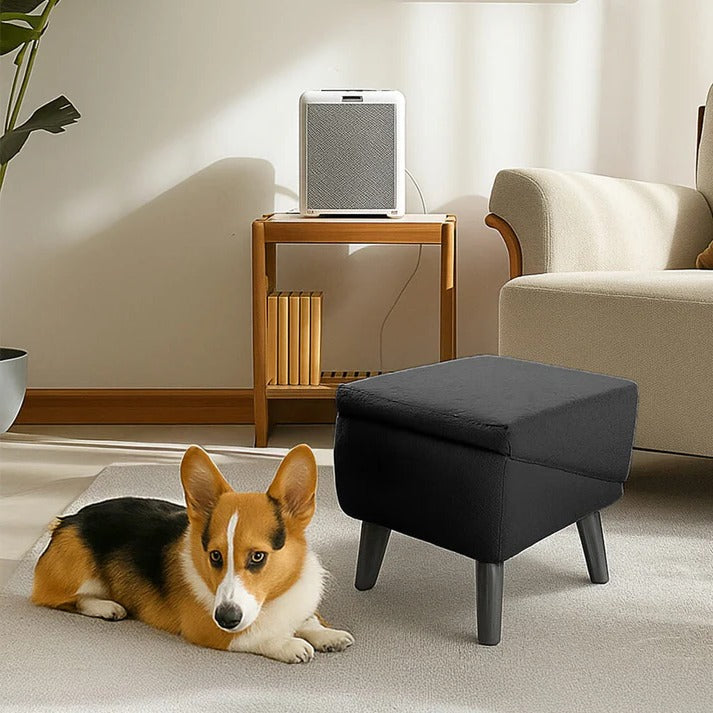 Convertible Dog Ramp with Padded Steps and Suction Cup Base for Beds and  Couches