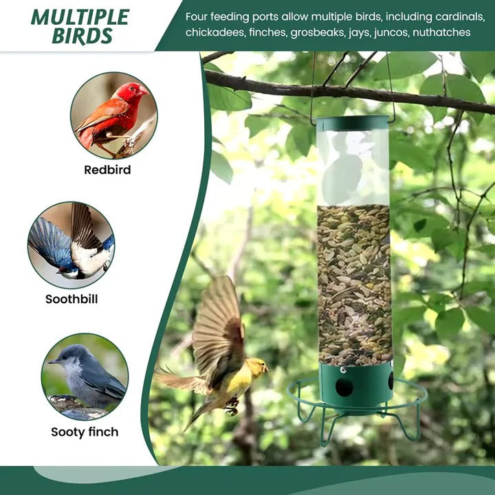 Bird Feeder with Squirrel Deterrent Design for Wild Birds